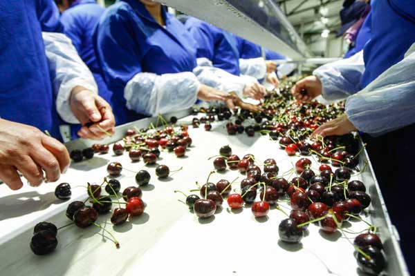 冷库安装-其他类型的冷库