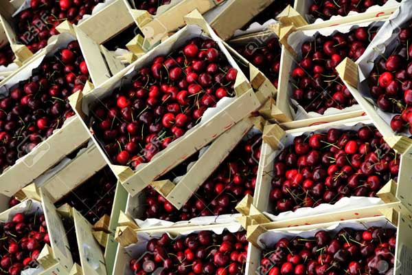 冷库安装-冷凝器