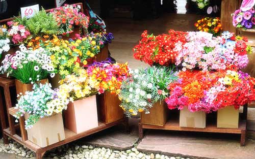 冷库安装-全封闭式制冷压缩机