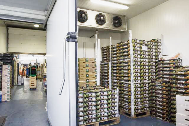 冷库安装-压缩机的安装