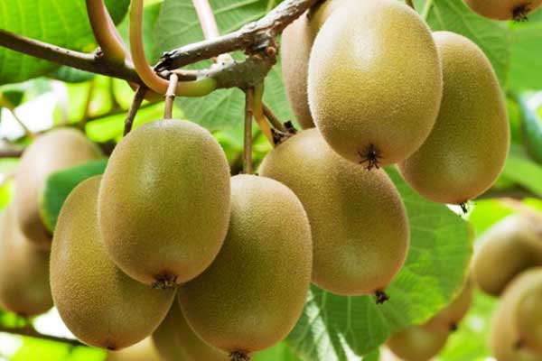 冷库安装-管道安装注意事项管