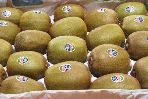 冷库安装-管道的保温与防潮