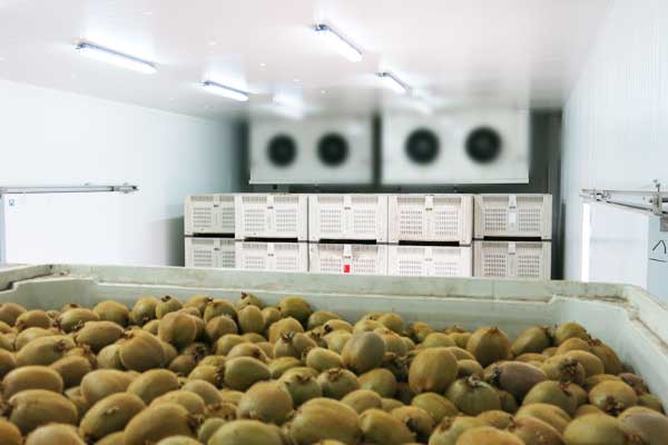 冷库安装-能量调节机构