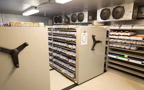 冷库安装-螺杆式制冷压缩机缺陷