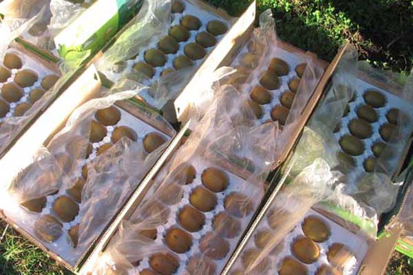 冷库安装-绝热材料的介绍