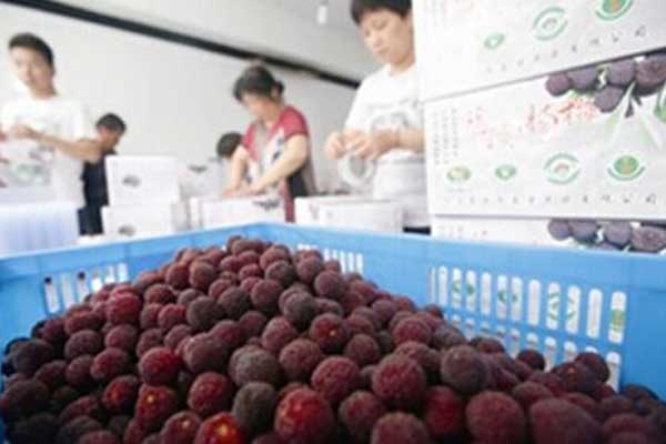 冷库安装-其他安全防护措施