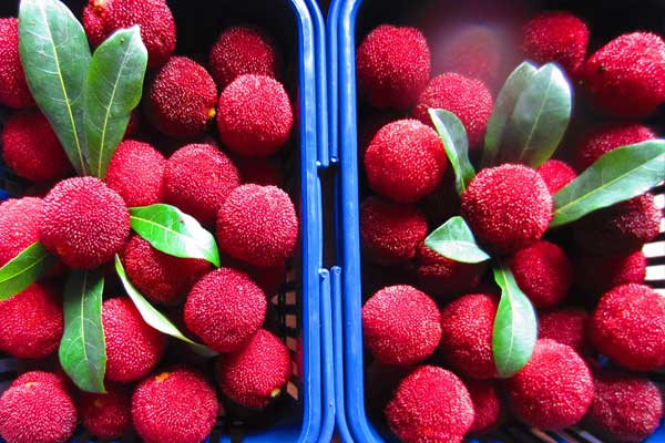 冷库安装-冷库控制系统与调节