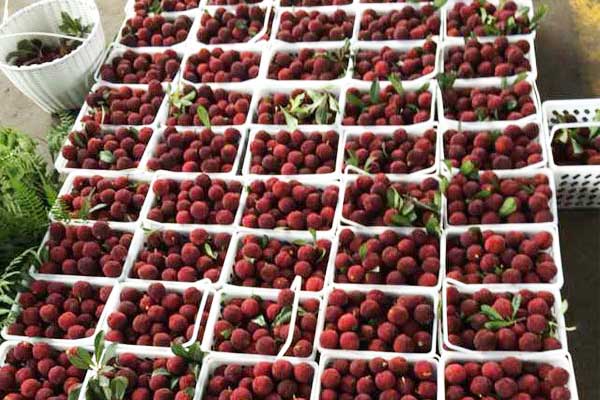 冷库安装-冷库制冷装置的控制电路