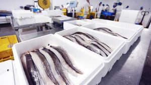 象山水产冷库_02