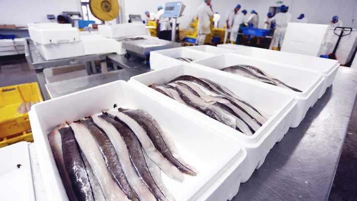 象山水产冷库_02